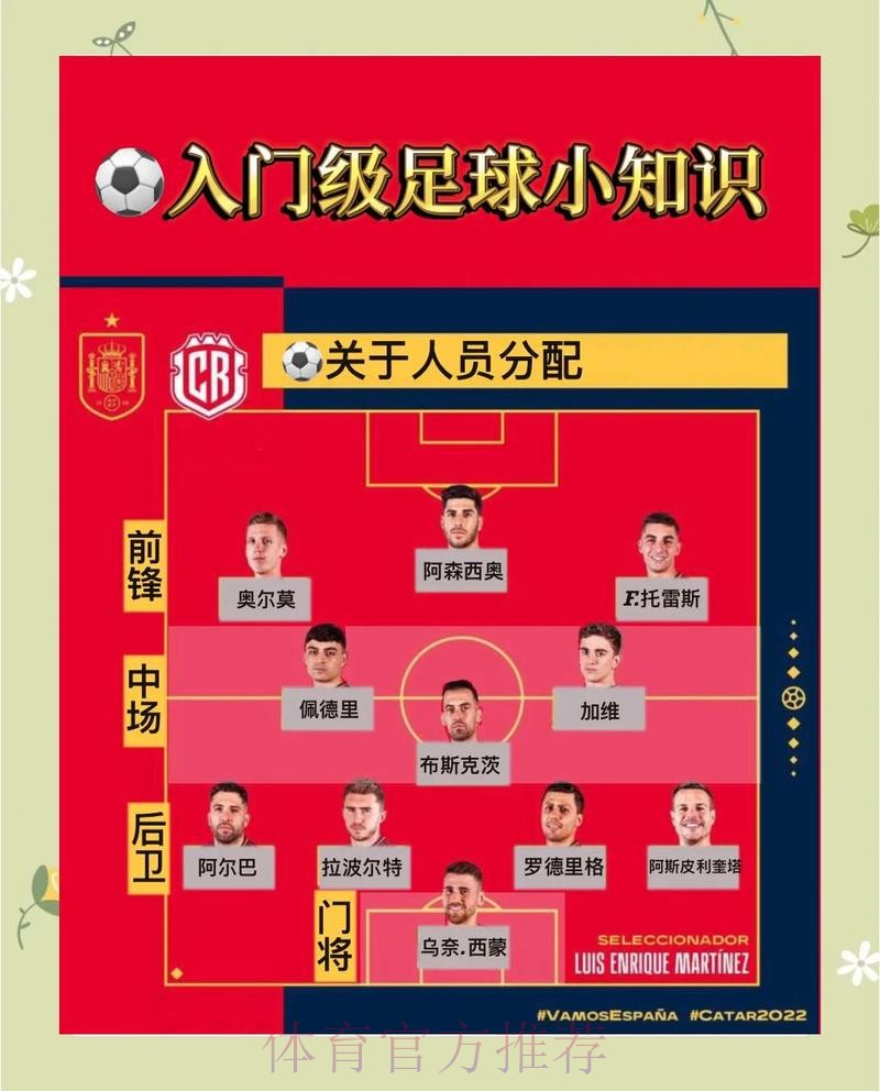 世界杯官方投注入口深度解读与使用指南